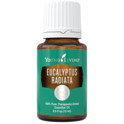Eucalyptus Radiata Essential Oil