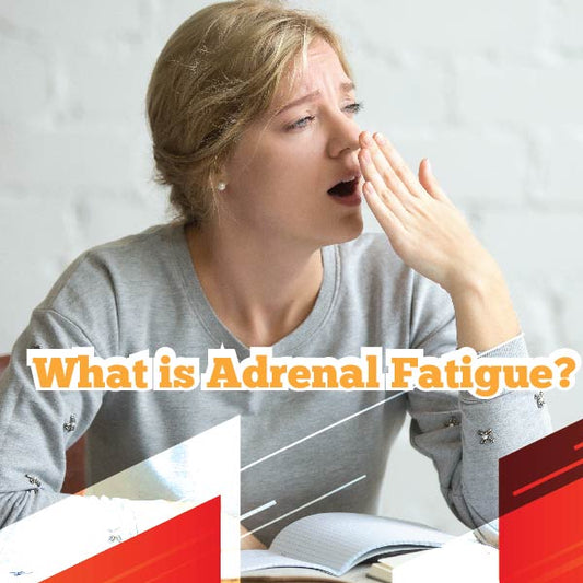 What is Adrenal Fatigue?