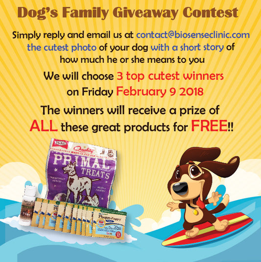 Dog's Family Giveaway Contest