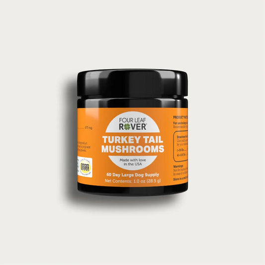 Four Leaf Rover Turkey Tail Mushroom - biosense-clinic.com