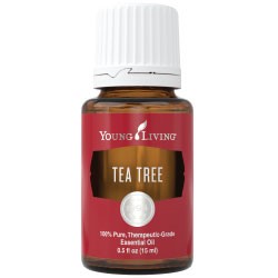 YL Tea Tree (Melaleuca Alternifolia)