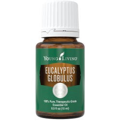 YL Eucalyptus Globulus Essential Oil