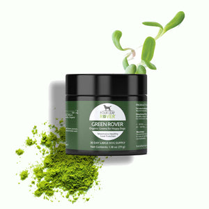 Four Leaf Rover Green Rover - Green Ferment For Dogs - biosense-clinic.com