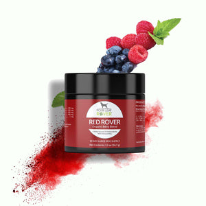 Four Leaf Rover Red Rover - Organic Berries For Dogs - biosense-clinic.com
